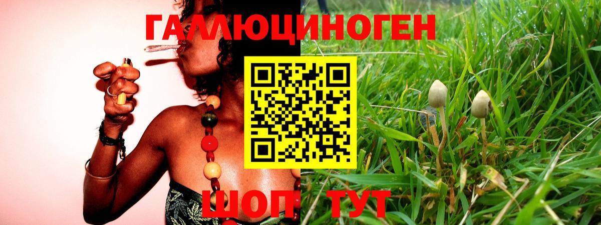 Галлюциногенные грибы MAGIC MUSHROOMS Назарово